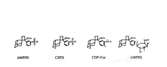 碱性磷酸酶化学发光底物 AMPP