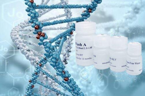 PlantTaq? DNA Polymerase (Chlorophyll-resistant)