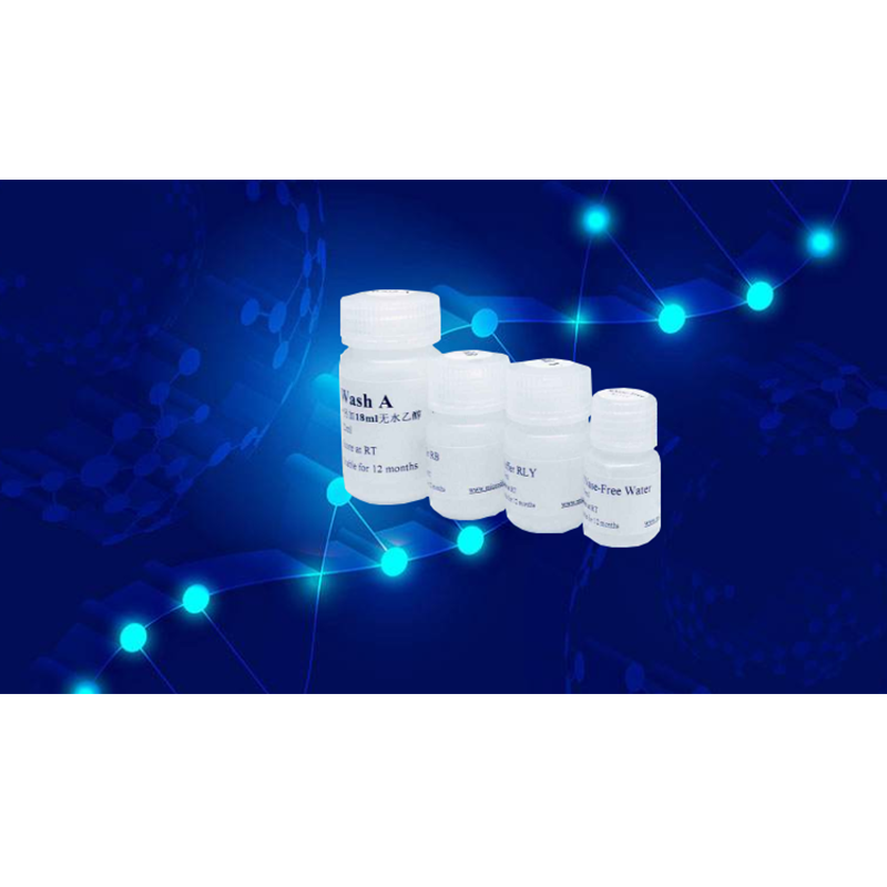 Recombinant Human Bcl-xL