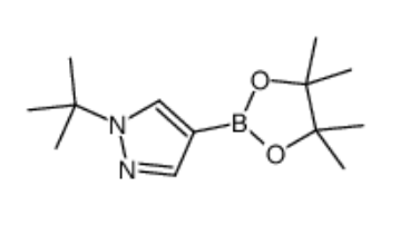 1-(叔丁基)-4-(4,4,5,5-四甲基-1,3,2-二氧硼杂环戊烷-2-基)吡唑