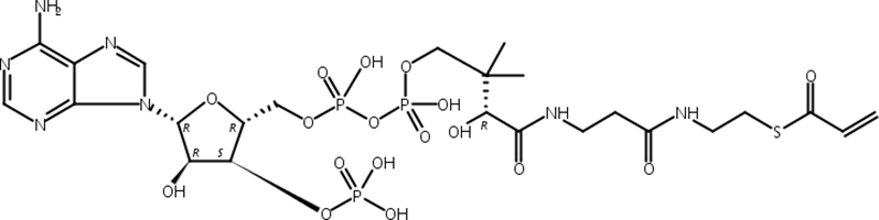 丙烯酰辅酶A