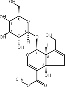 黄夹环烯醚萜苷