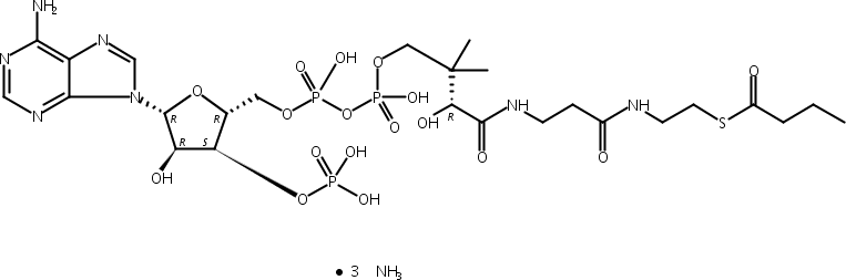 丁酰基辅酶A (钠盐