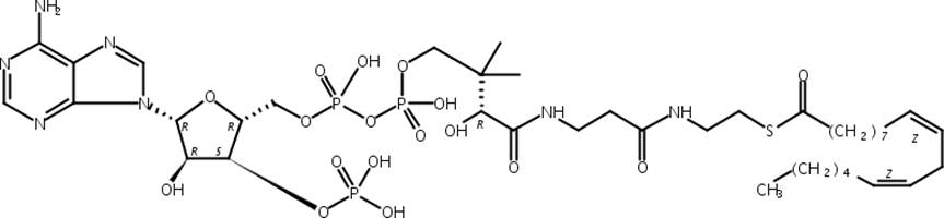 亚油酰基辅酶A,游离酸