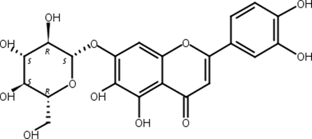 6-羟基木犀草苷