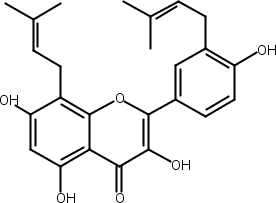 构树黄酮醇F（楮树黄酮醇F）