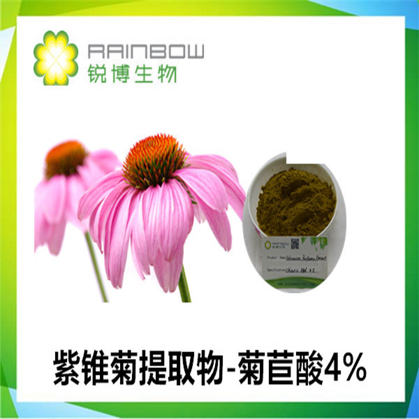 紫锥菊提取物