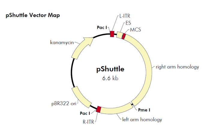 pShuttle 载体