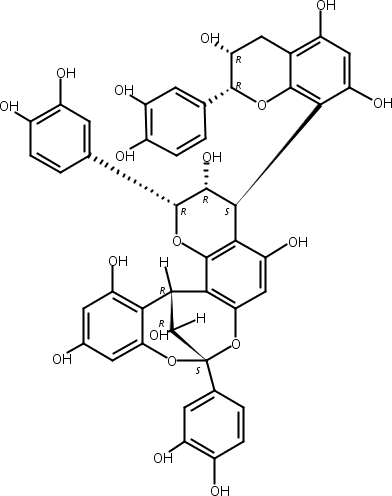 桂皮鞣质B1