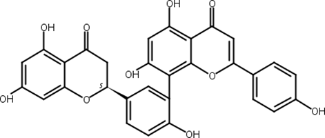 2,3-二氢穗花杉双黄酮