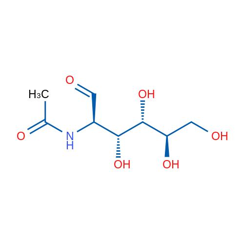 N-乙酰氨基葡萄糖