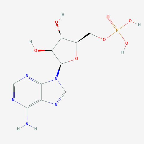 单磷酸阿糖腺苷
