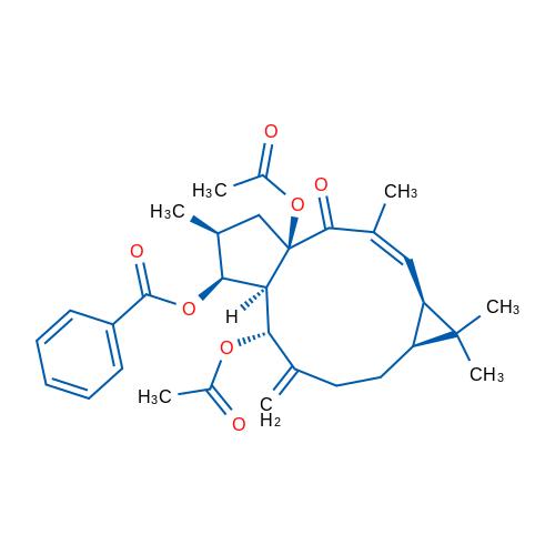 千金子素L3