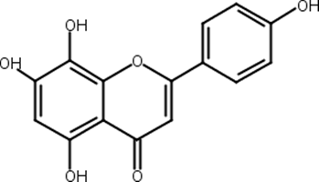 8-羟基芹菜素