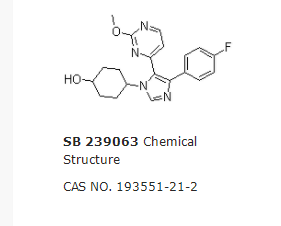 SB 239063