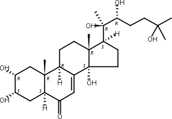 漏芦甾酮B