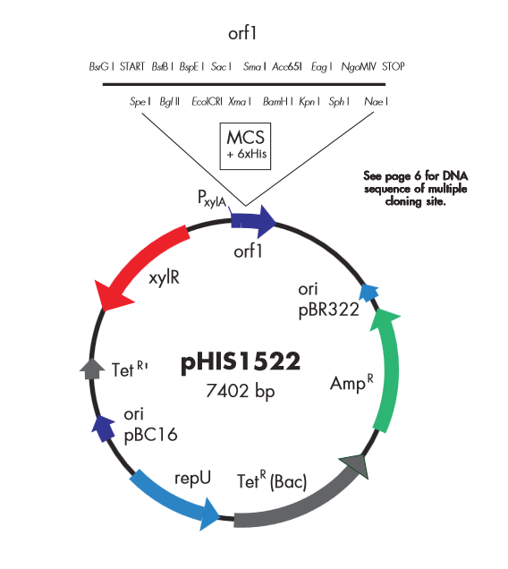 pHIS1525 载体