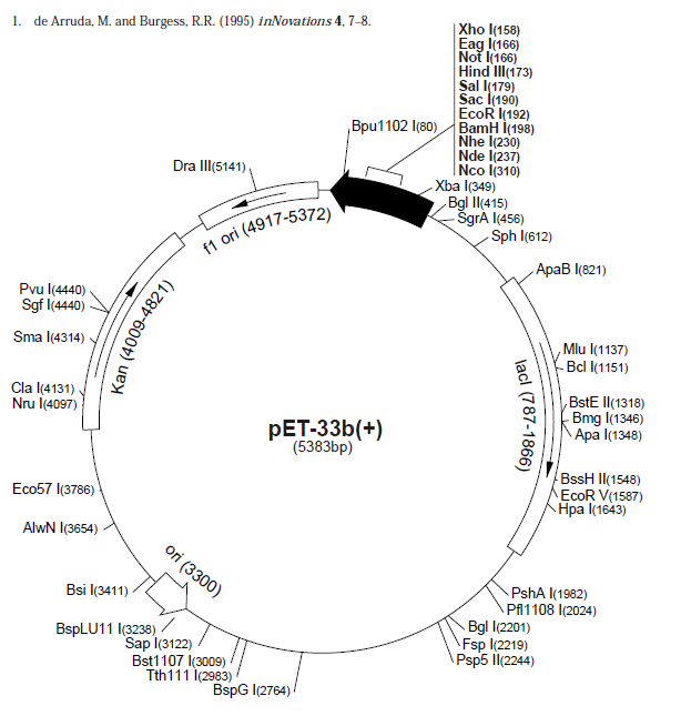 pET-33b(+) 载体