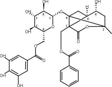 6'-O-没食子酰白芍苷