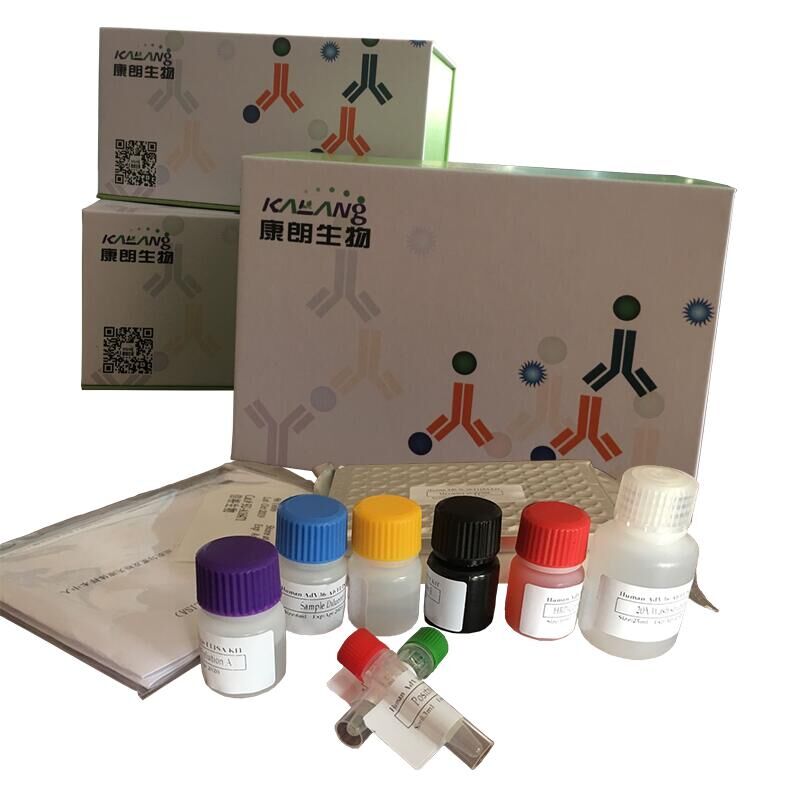 SARS-CoV-2 (2019-nCoV) Nucleoprotein ELISA Ki