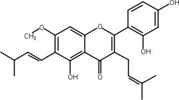 桂木黄素