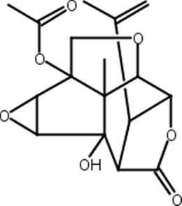 13-O-乙酰基马桑宁