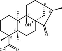 对映-9-羟基-15-氧代-19-异贝壳杉烷酸