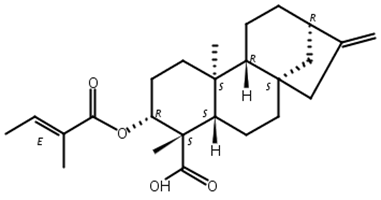 3 Beta-巴豆酰基氧基-等效-贝壳杉-16-烯酸