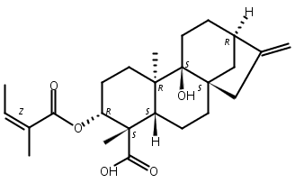 3Alpha-当归酰氧基-9beta-羟基等效贝壳杉