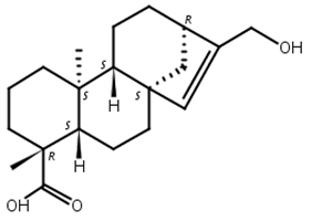 ent-17-羟基贝壳杉-15-烯-19-酸