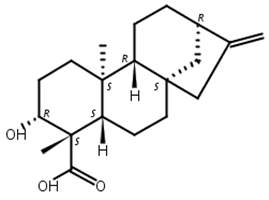 ent-3beta-羟基贝壳杉-16-烯-19-酸
