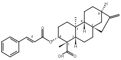 对映-3beta-肉桂酰氧基贝壳杉-16-烯-19