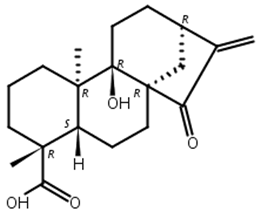 对映-9-羟基-15-氧代-16-贝壳杉烯-19-酸