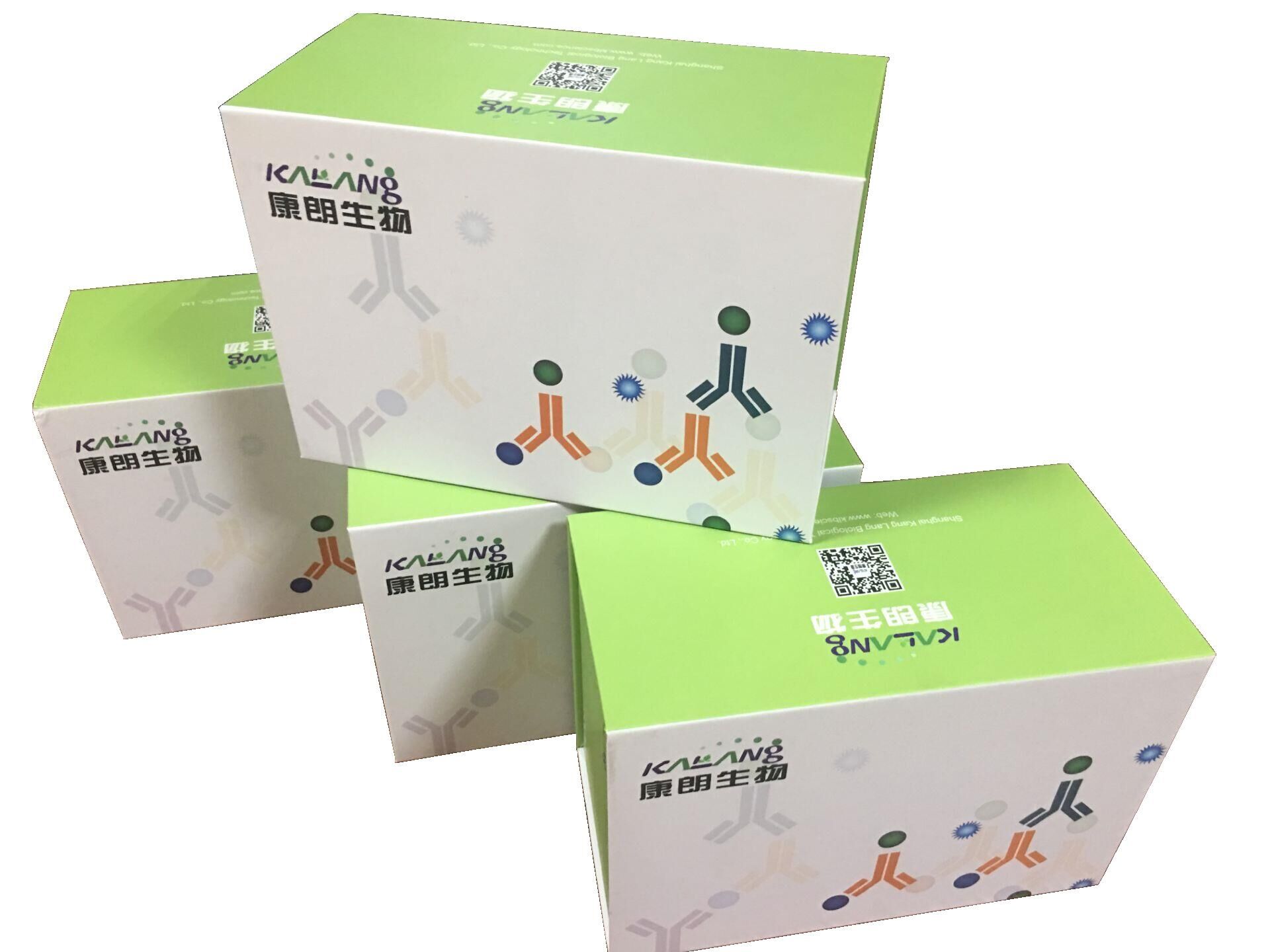 人白细胞介素19酶联免疫试剂盒