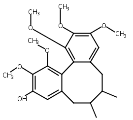 戈米辛K1