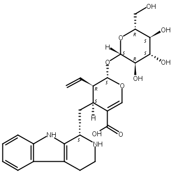 strictosidinic aci