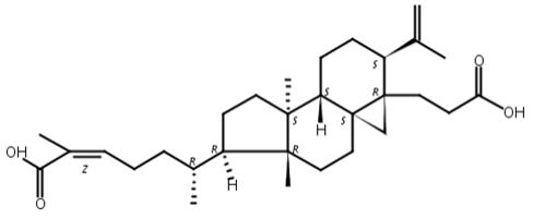 黑五味子酸