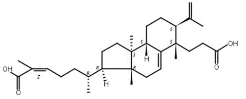 南五味子酸