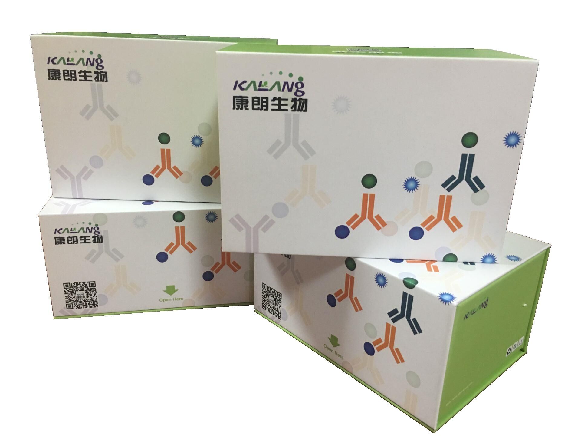 人趋化因子CCL26酶联免疫试剂盒