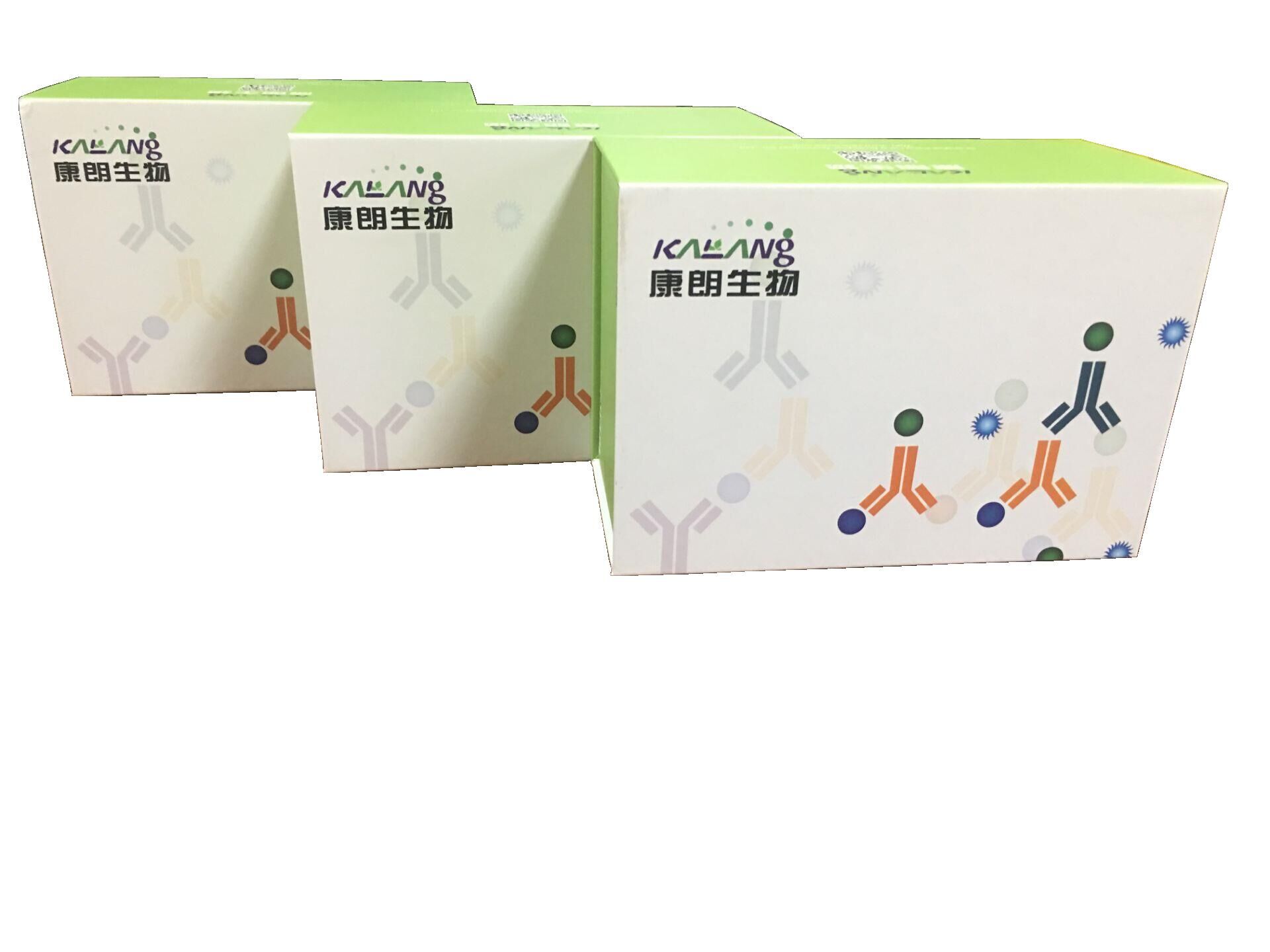 大鼠免疫球蛋白M酶联免疫试剂盒