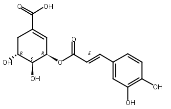 3-O-咖啡酰莽草酸