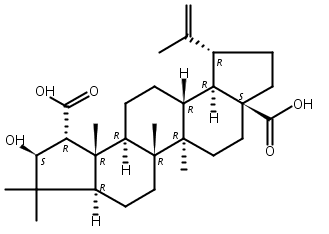 美洲茶酸