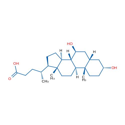 熊去氧胆酸