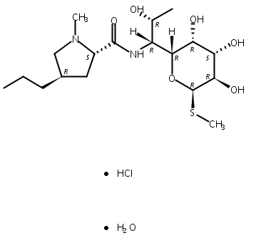 盐酸林可霉素一水合物/林可霉素盐酸盐一水合物