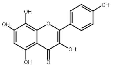 草质素(蜀葵苷元，蜀葵甙元