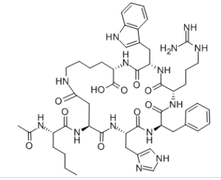 布雷默浪丹 PT 141