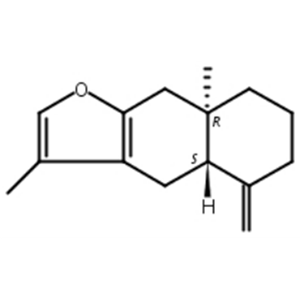 苍术