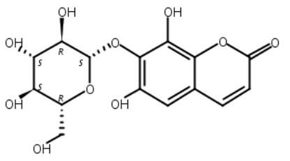 桑皮苷B