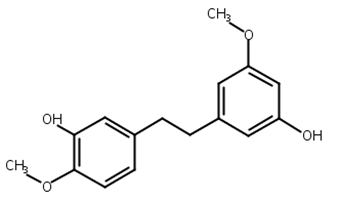 石斛酚