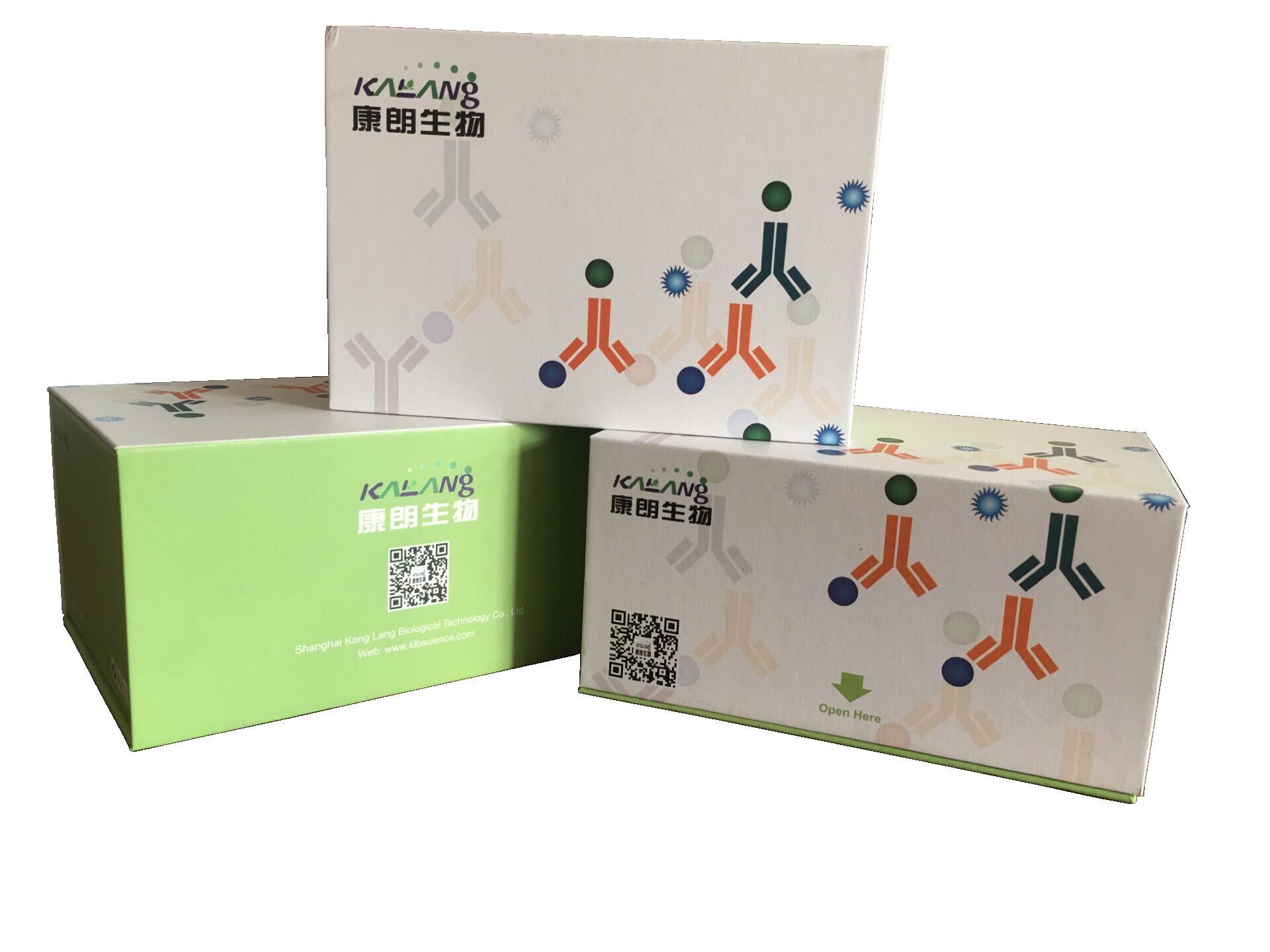 剪接因子脯氨酸与谷氨酰胺富集 (SFPQ)检测试剂盒（ ELISA 方法）